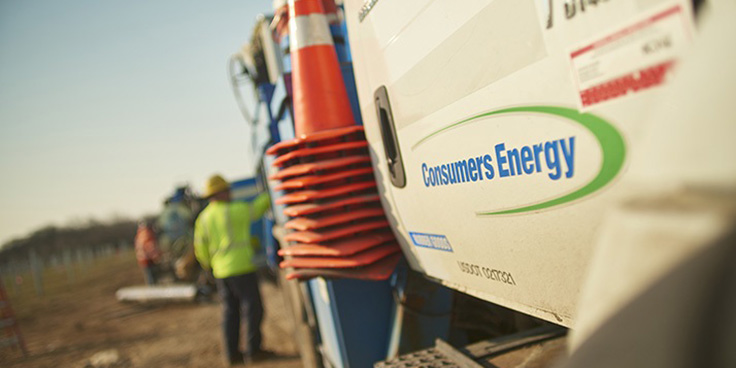 solar gardens in green field